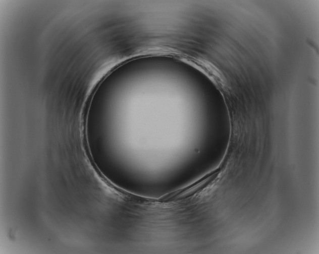 X0000091221430200708301441