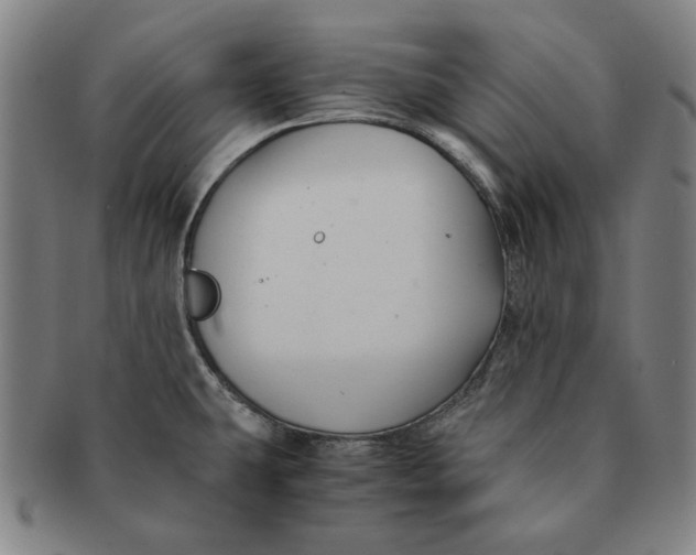 X0000091221431200708301441