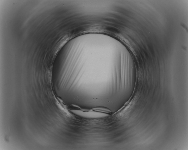 X0000091221433200708301441