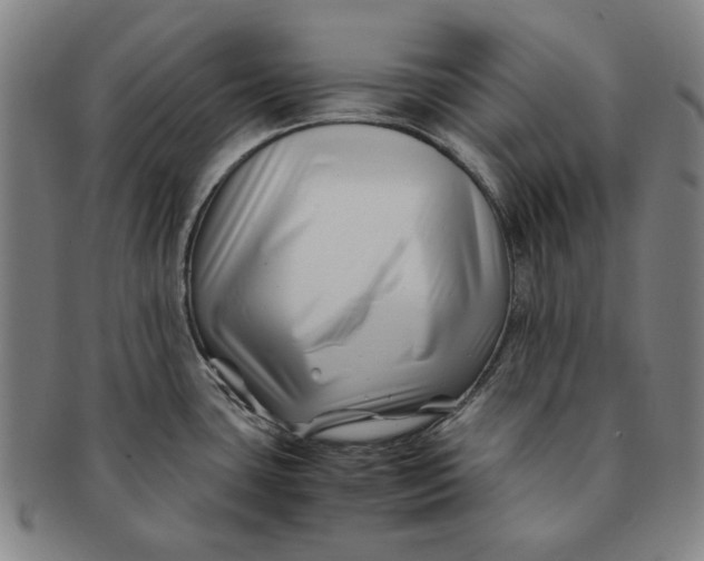 X0000091221435200708301441