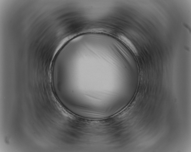 X0000091221436200708301441