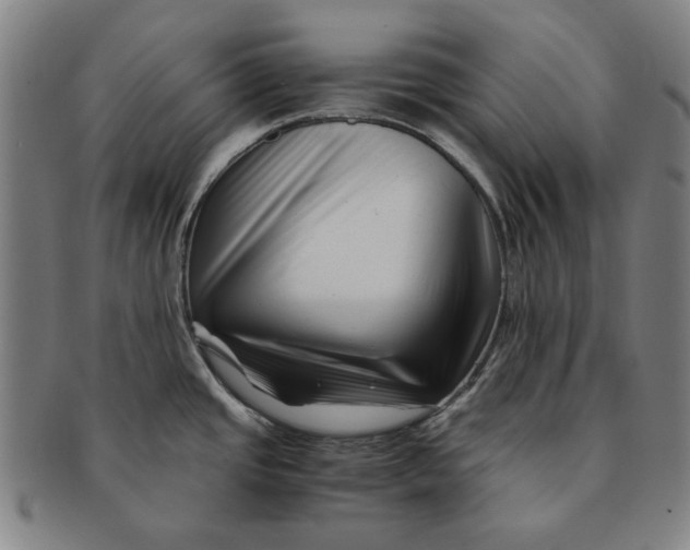 X0000091221437200708301441