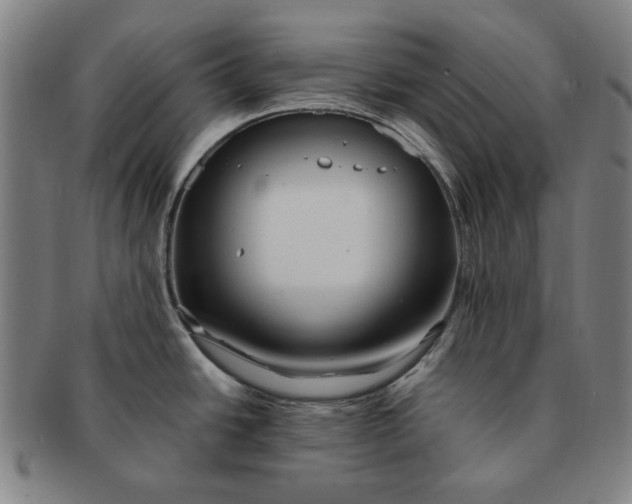 X0000091221438200708301441