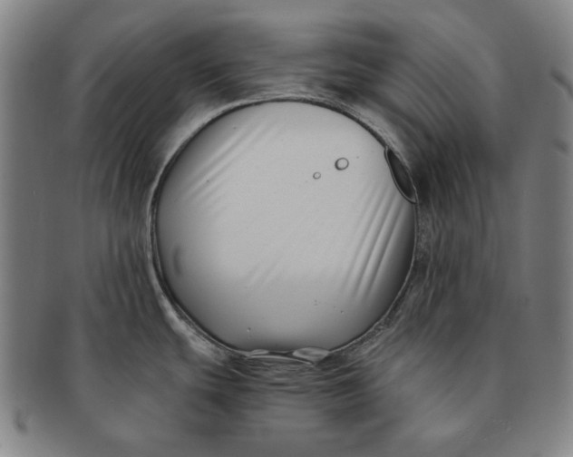 X0000091221439200708301441