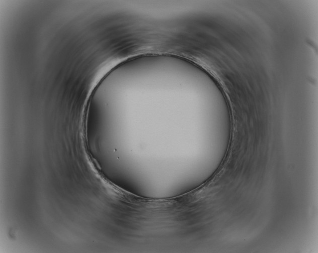 X0000091221440200708301441