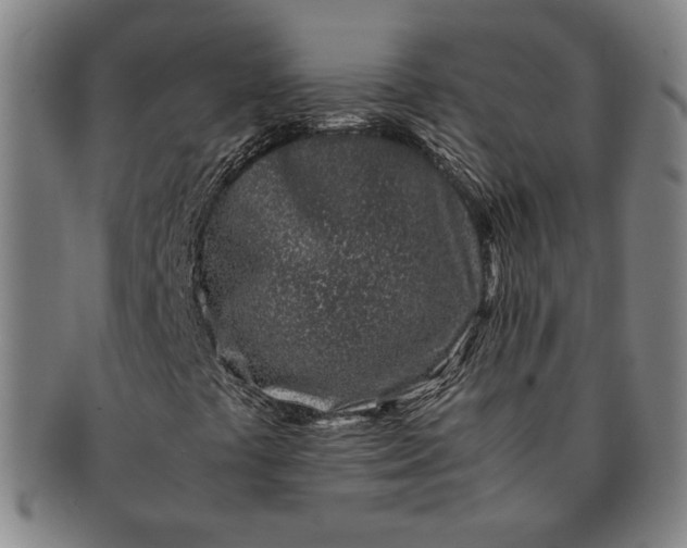 X0000091221441200708301441