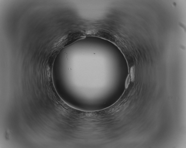 X0000091221443200708301440