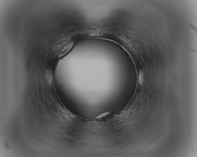 X0000091221444200708301440