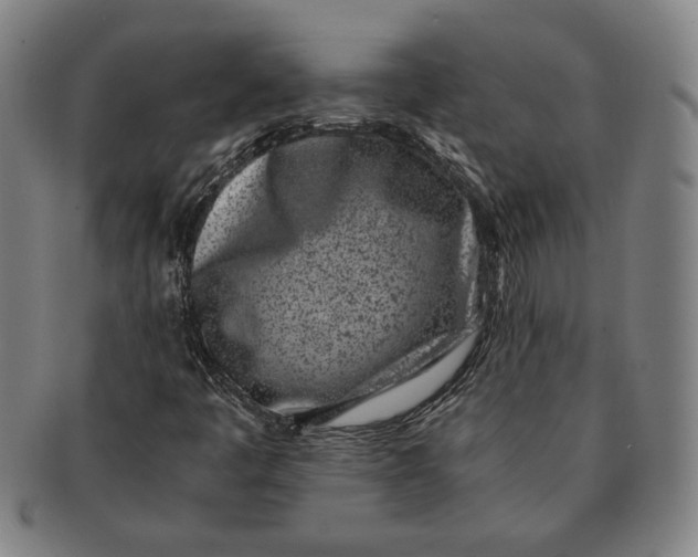 X0000091221445200708301440