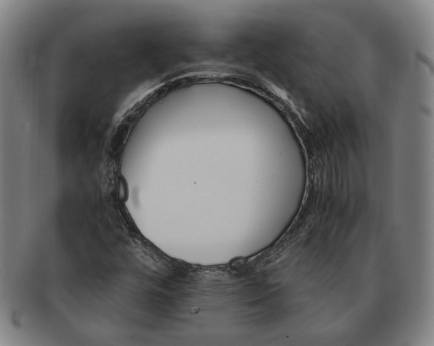 X0000091221448200708301440