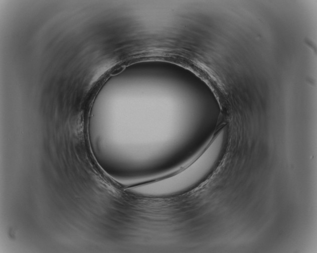 X0000091221450200708301440