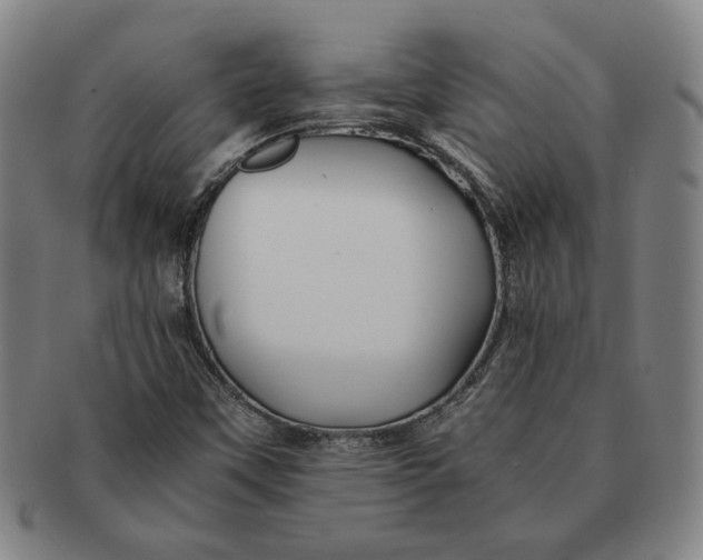 X0000091221451200708301440