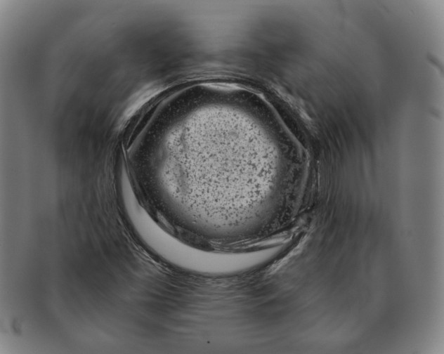 X0000091221453200708301440