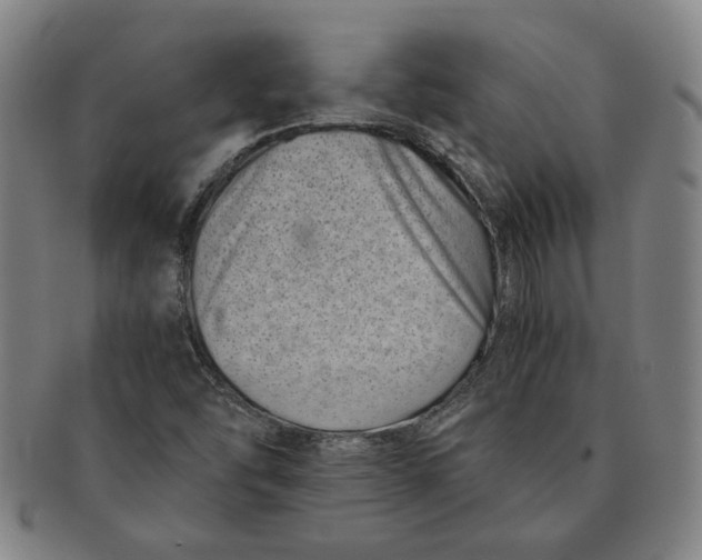 X0000091221454200708301440