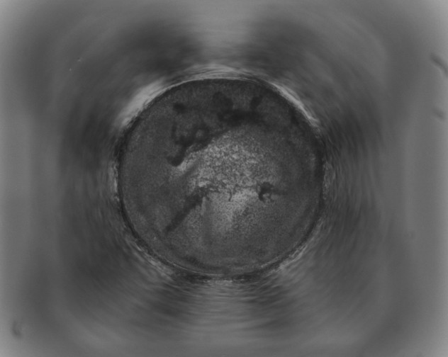 X0000091221455200708301440