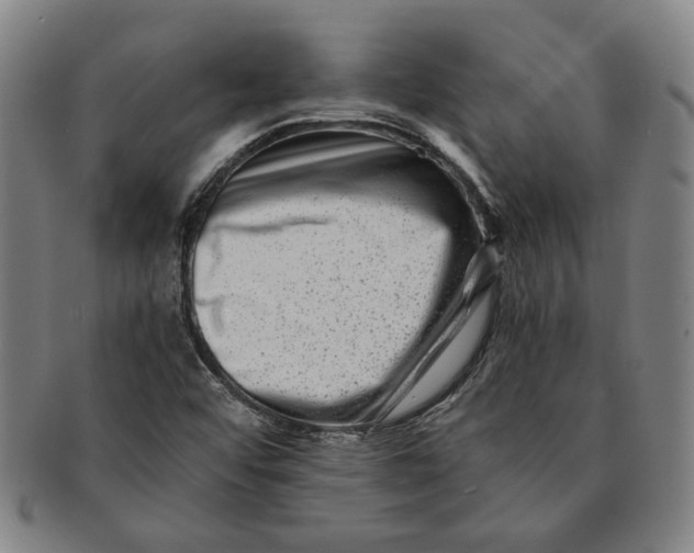 X0000091221456200708301440