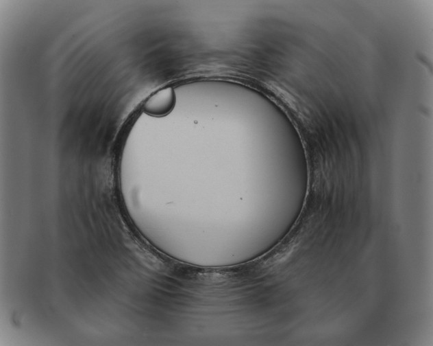 X0000091221458200708301440