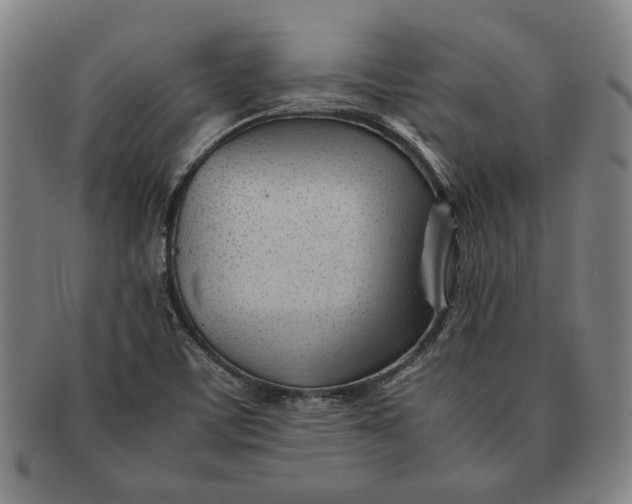 X0000091221459200708301440