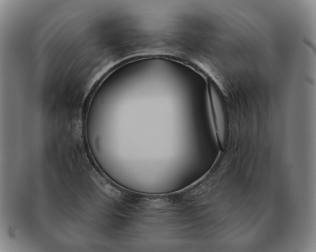 X0000091221460200708301440