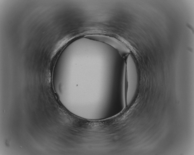 X0000091221461200708301440