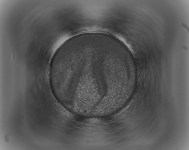 X0000091221463200708301440