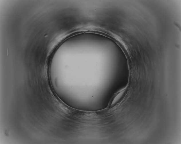 X0000091221464200708301440