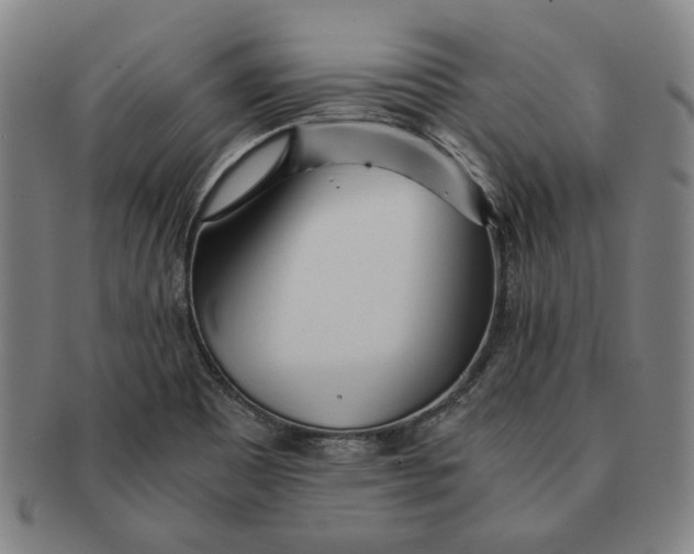 X0000091221465200708301440