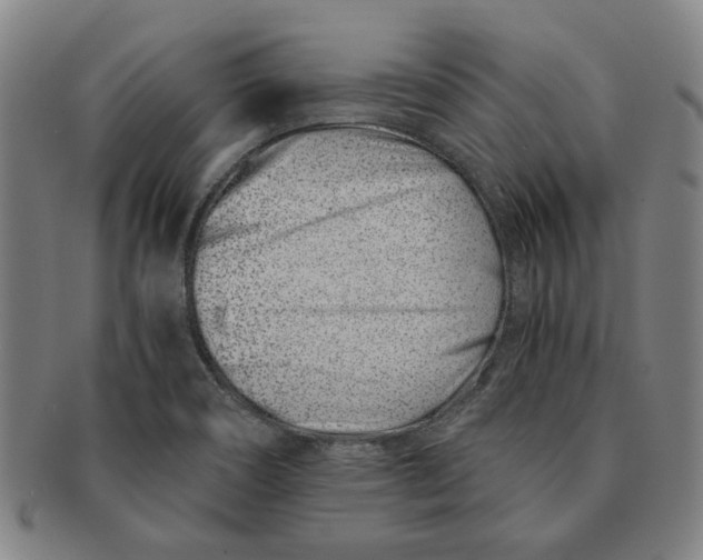 X0000091221466200708301440