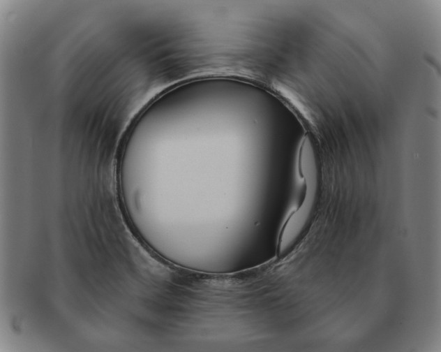 X0000091221468200708301440