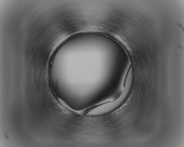 X0000091221469200708301440