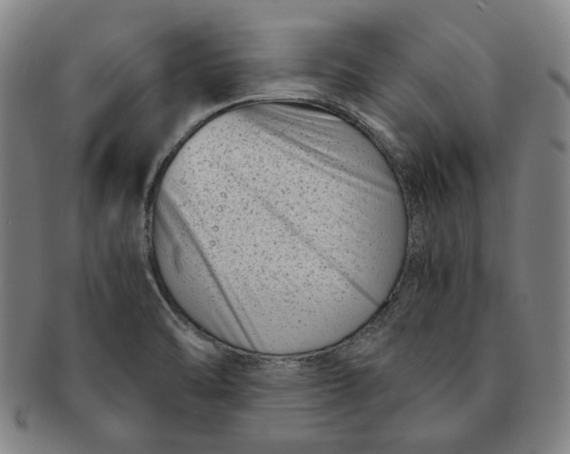 X0000091221470200708301440