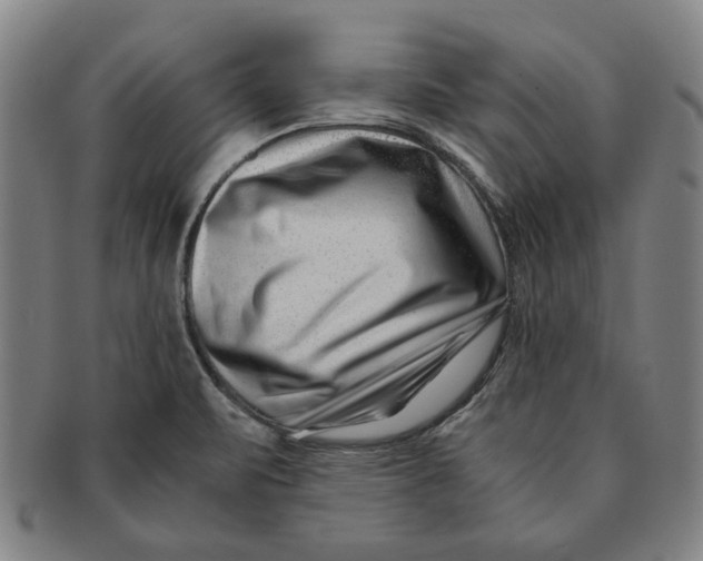 X0000091221471200708301440