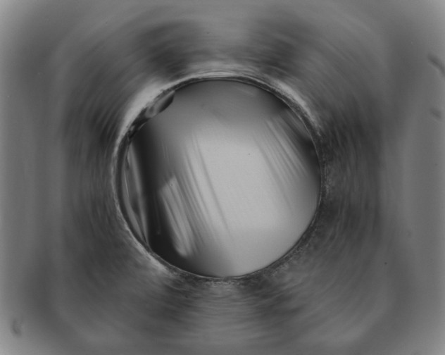 X0000091221472200708301440