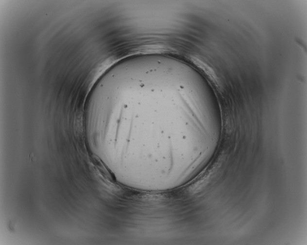 X0000091221473200708301440