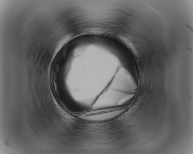 X0000091221475200708301440