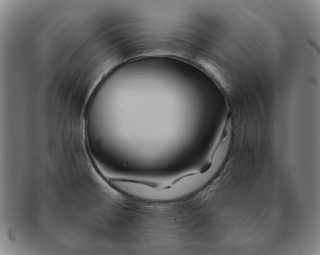 X0000091221476200708301440