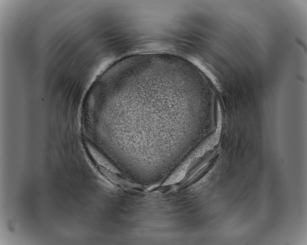 X0000091221477200708301440