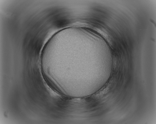 X0000091221478200708301440