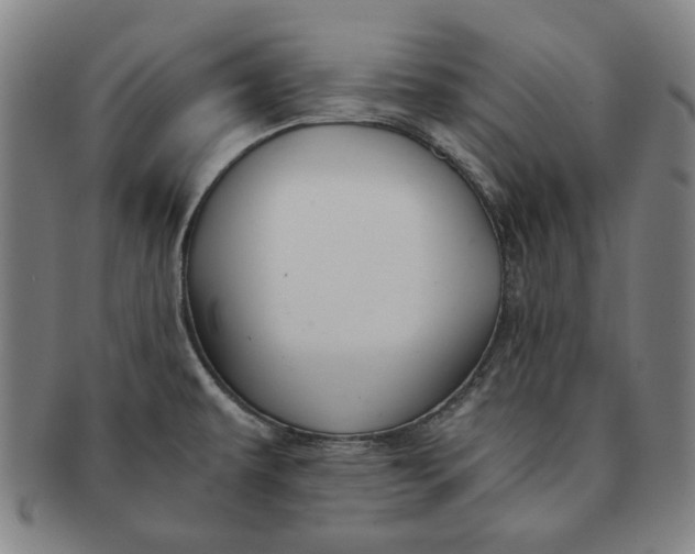 X0000091221479200708301440