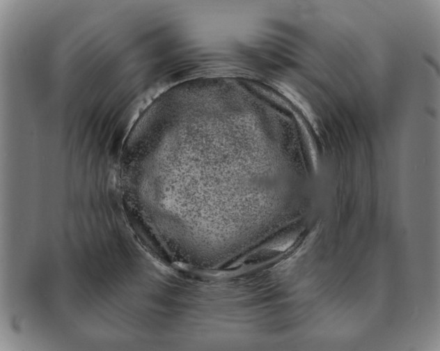 X0000091221481200708301440