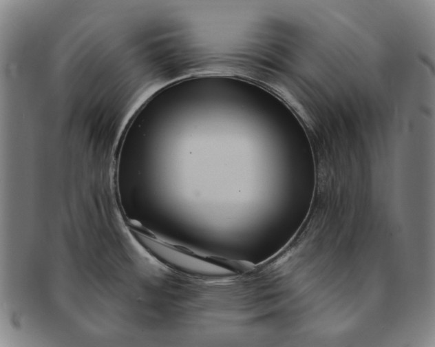 X0000091221484200708301440