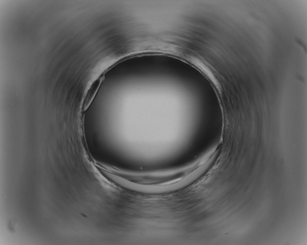 X0000091221485200708301440