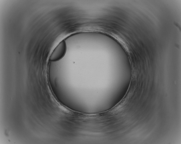 X0000091221486200708301440