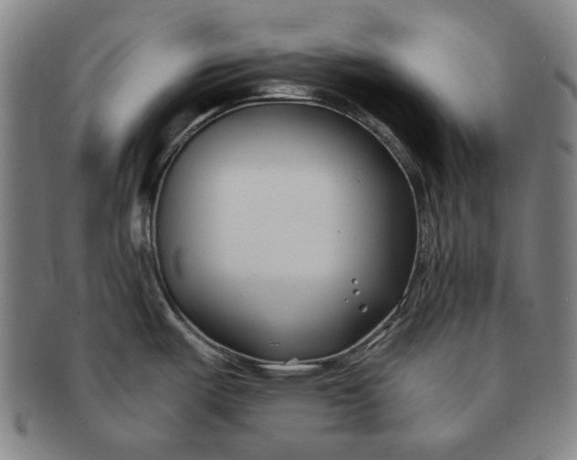 X0000091221487200708301440