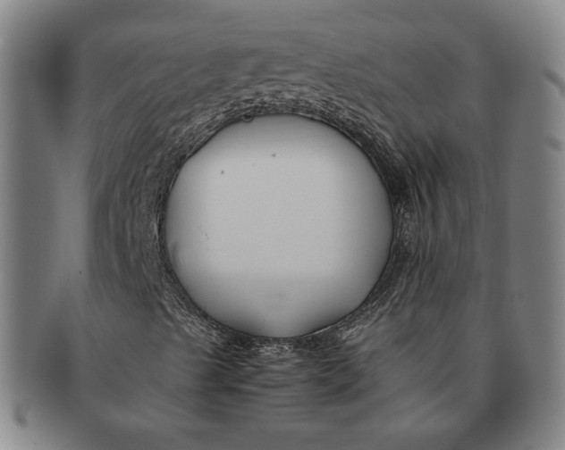 X0000091221489200708301439