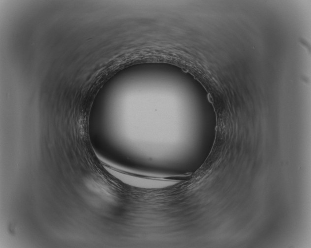 X0000091221490200708301439