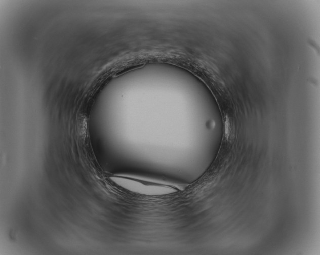 X0000091221492200708301439