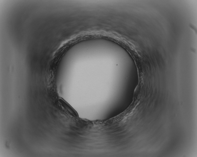 X0000091221494200708301439