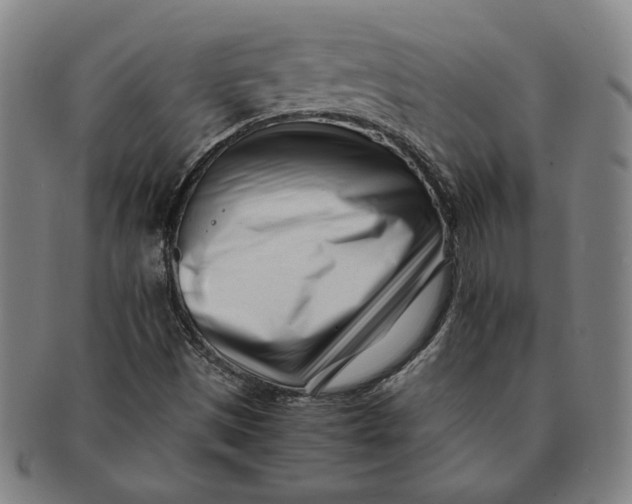 X0000091221497200708301439