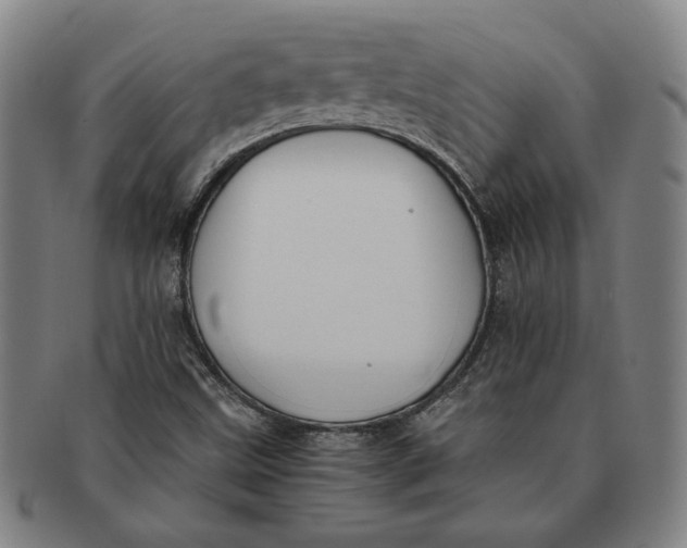 X0000091221499200708301439